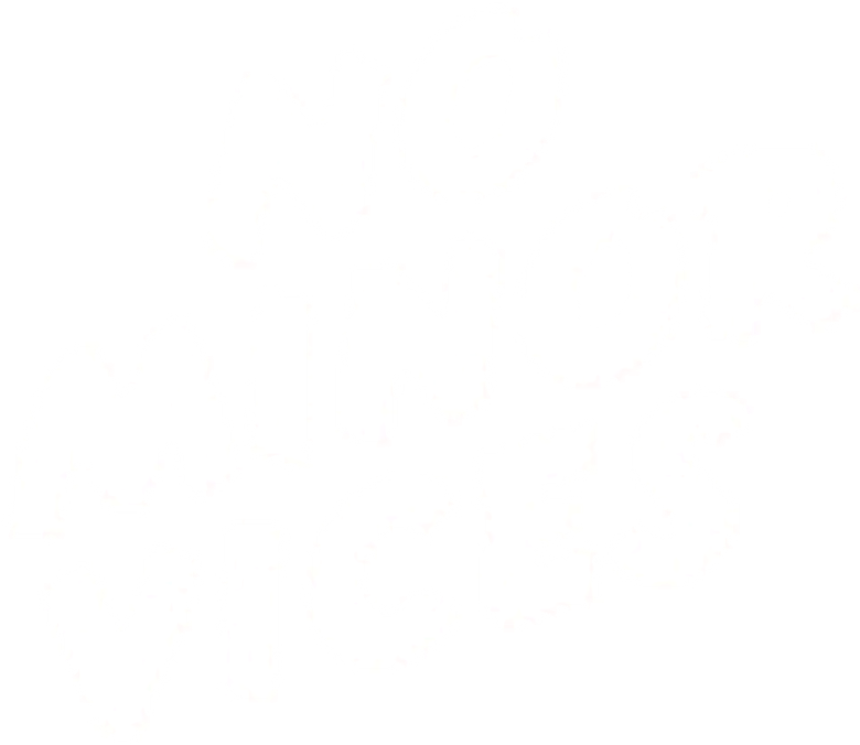 No Minor Vices