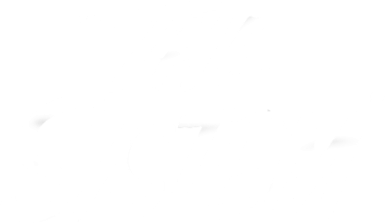 The System logo
