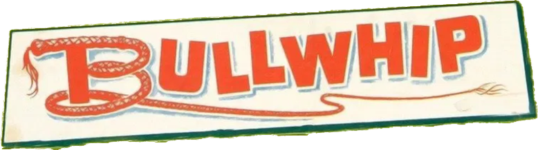 Bullwhip