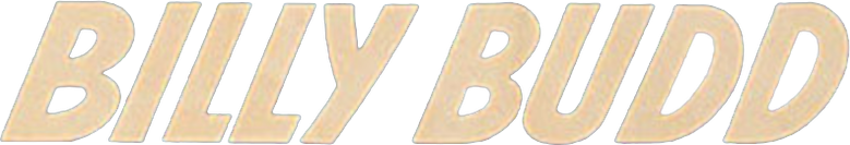 O Vingador dos Mares logo