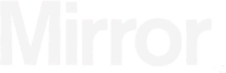 Зеркало logo