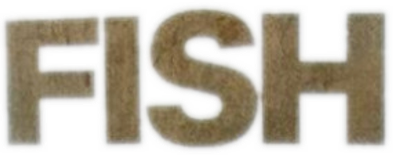 Fish logo
