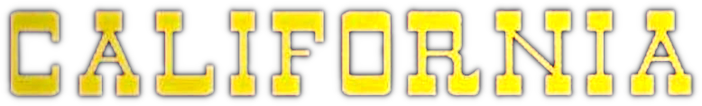 Der Mann aus Virginia logo