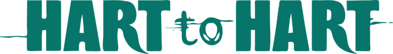 Casal 20 logo
