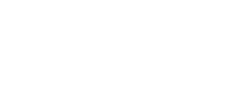 Ms .45 logo