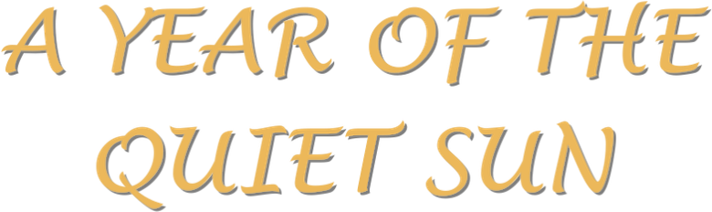 A Year of the Quiet Sun