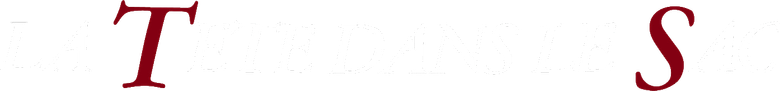 La Tête dans le sac logo
