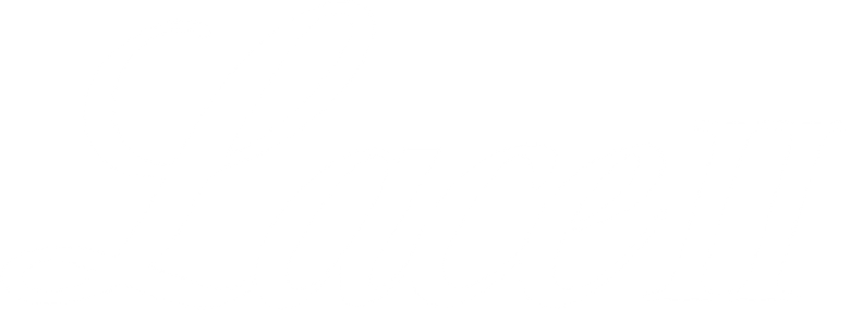 Lace II logo