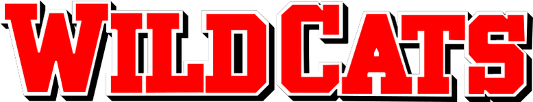 Uma Gatinha Boa de Bola logo