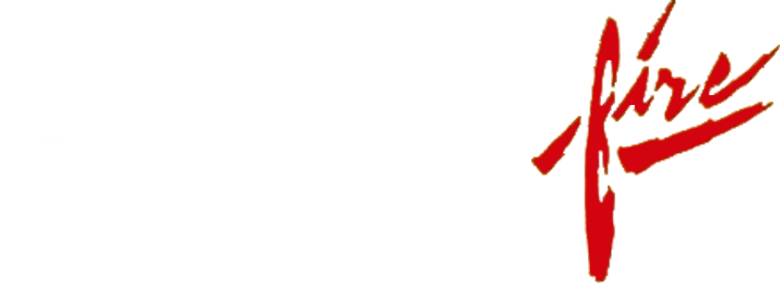 Höhenfeuer logo