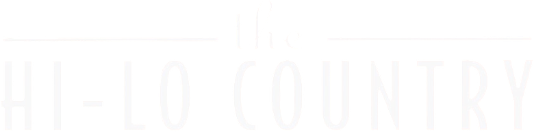 Terra de Paixões logo