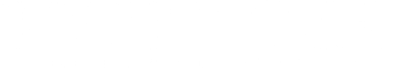 Fudoh: The New Generation logo