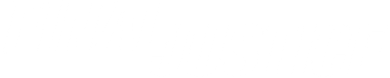 霹靂先鋒 logo