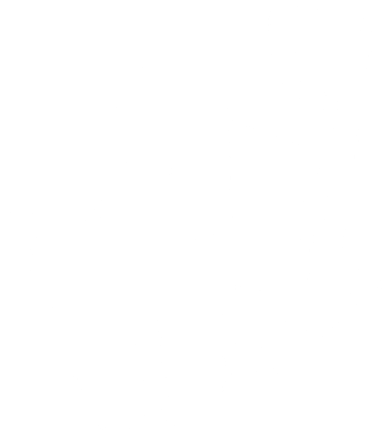 Selva de Pedra logo