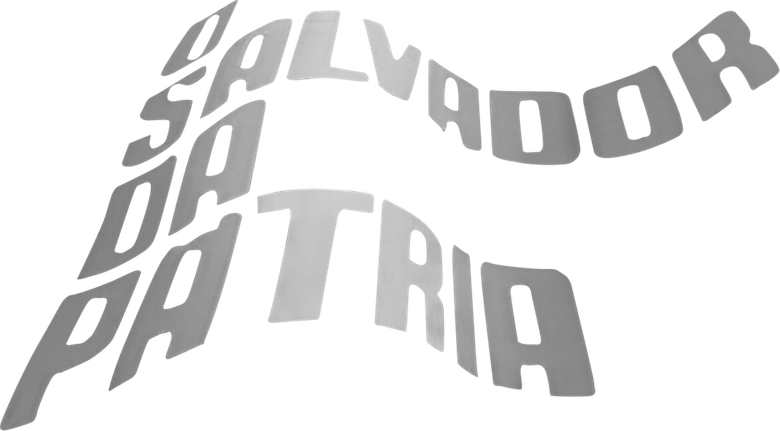 O Salvador da Pátria logo