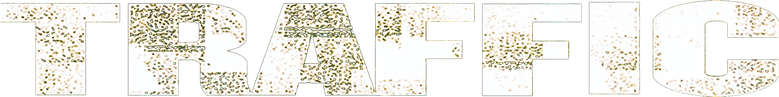 Traffic - Macht des Kartells logo