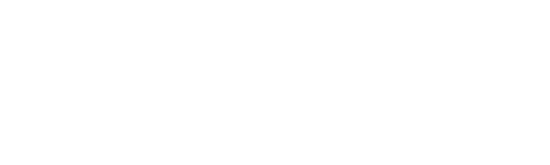 Nina logo