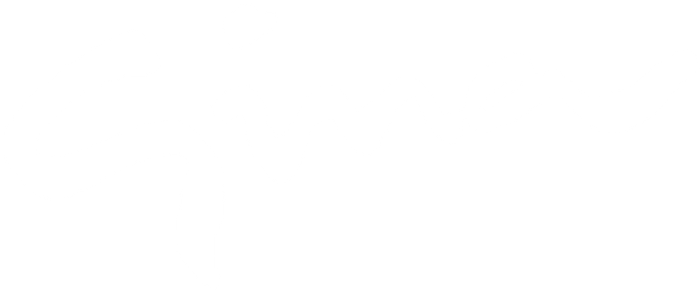 Gina logo