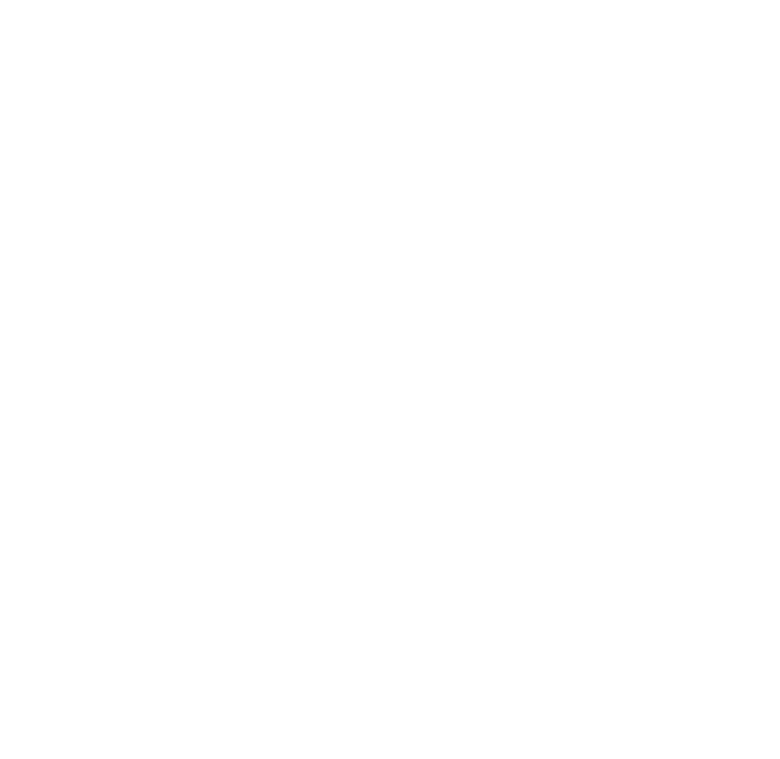 Sem Lenço, Sem Documento logo