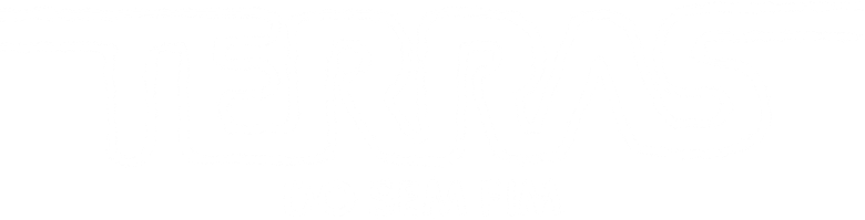 Terras do Sem Fim logo