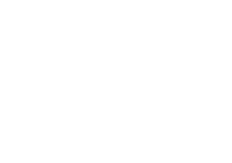 Ring 2: O Chamado logo