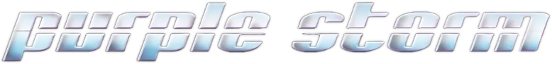 紫雨風暴 logo