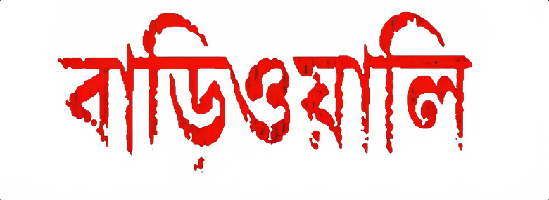 বাড়িওয়ালি logo