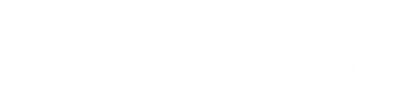 Big Brother logo