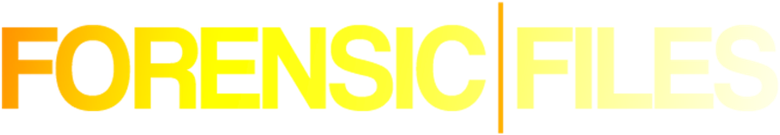 Crímenes Imperfectos logo