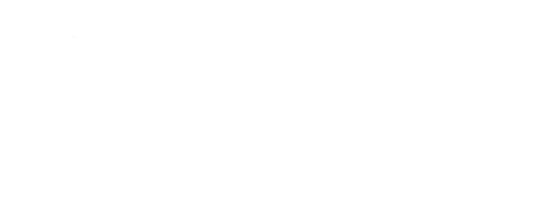 द बॉर्न आयडेंटिटी logo