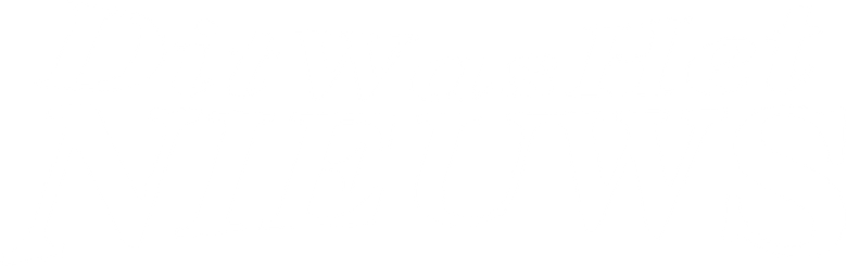 Dit Was Het Nieuws logo