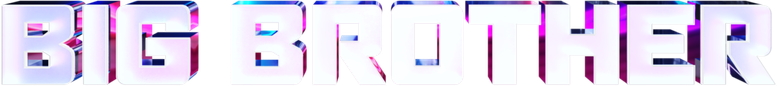 Big Brother logo