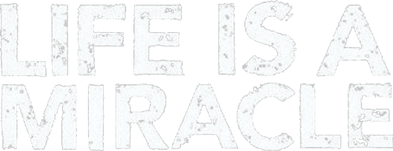 A Vida É um Milagre logo