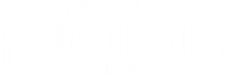 Full Metal Panic logo