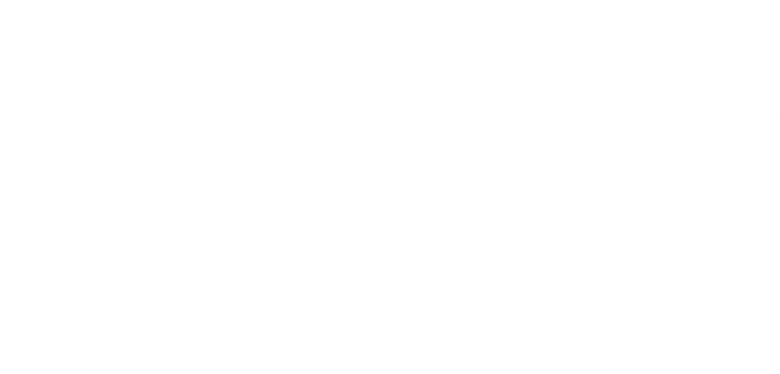 WWE SummerSlam 2002 logo