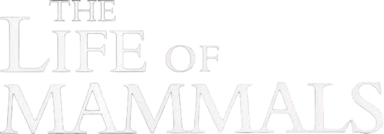 A Vida dos Mamíferos logo