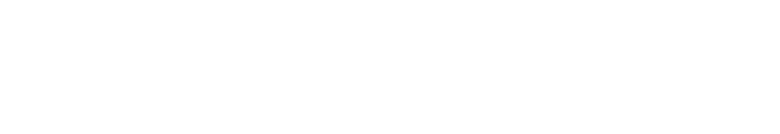 Настройщик logo