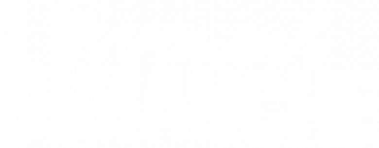 Vivement dimanche logo