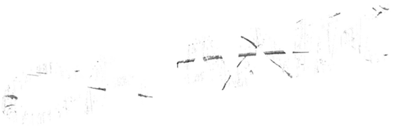 Adrenalina logo