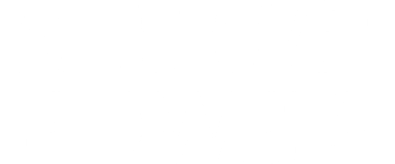 BOYS OVER FLOWERS logo