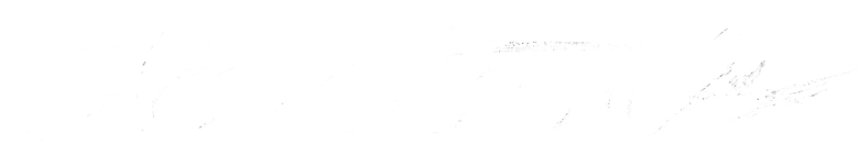Выборы 2 logo