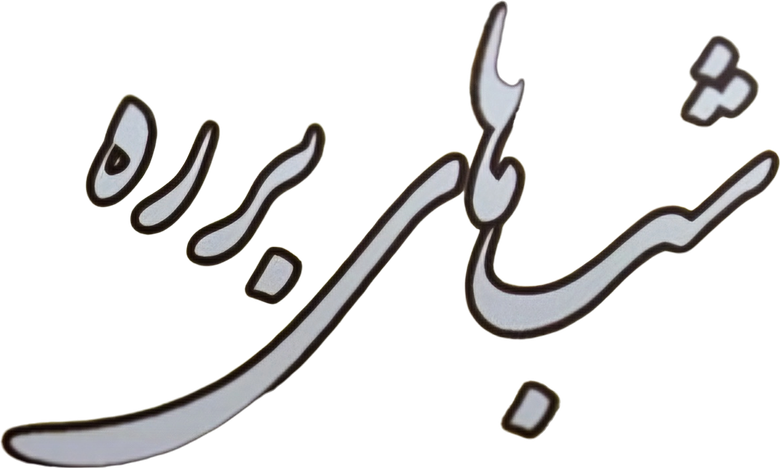 شب های برره logo