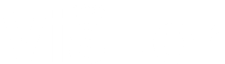 Ein Sommer in New York - The Visitor logo