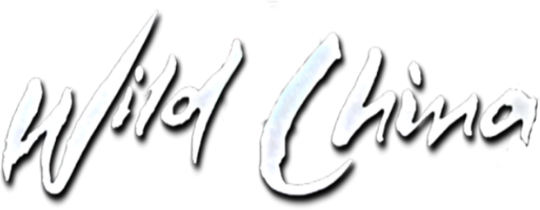 와일드 차이나 logo