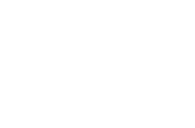 MIR logo