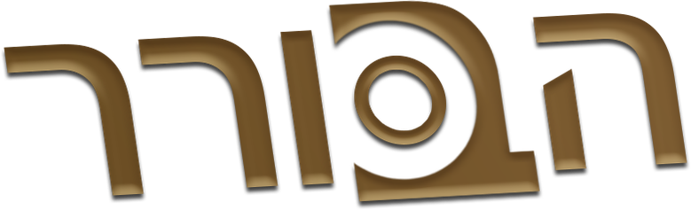 הבורר logo