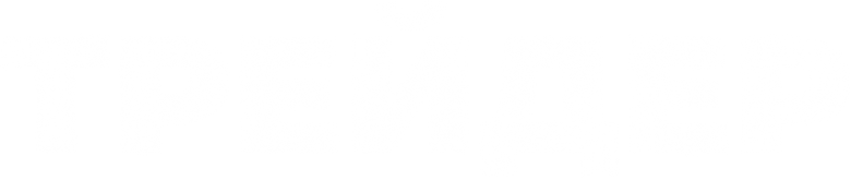 Trader logo