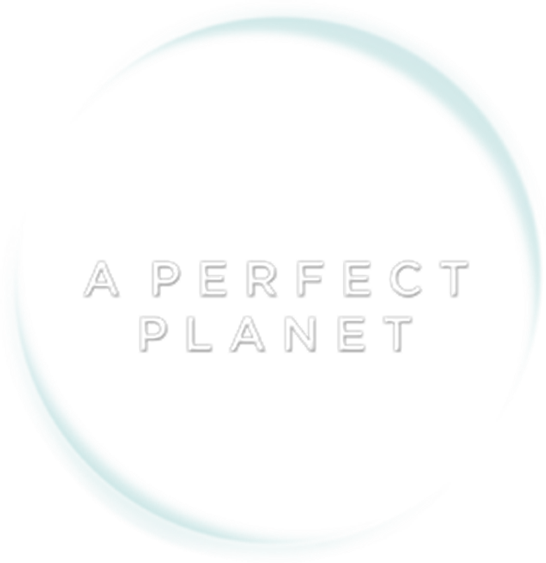 Um Planeta Perfeito logo