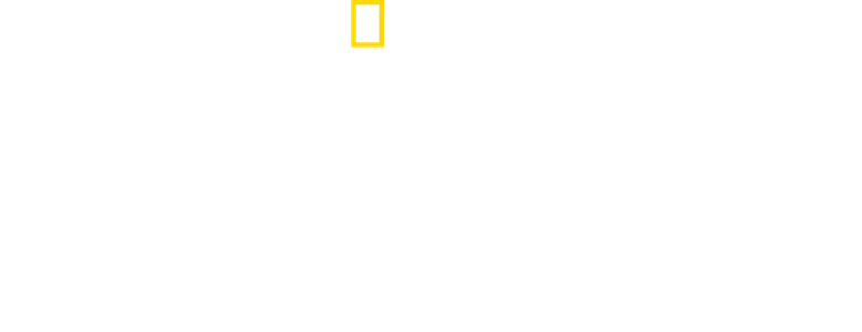 Witness to Disaster