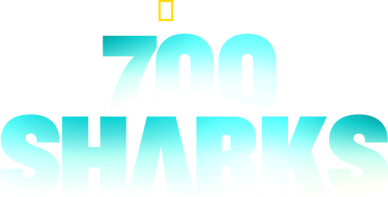 700 Haie in der Nacht logo